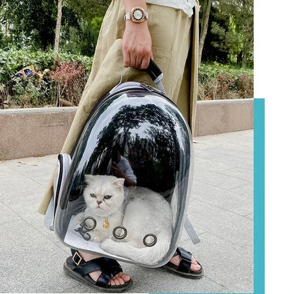 BubblePaw breathable pet backpack for rabbit bird small animal