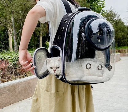 BubblePaw travel carrier backpack worn on city walk