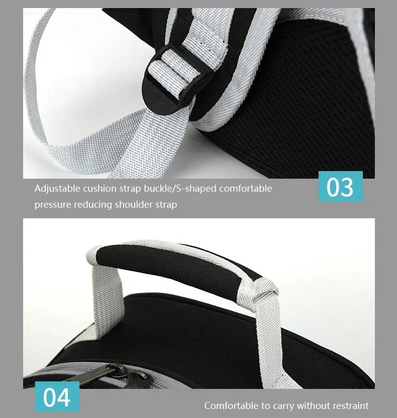 BubblePaw transparent carrier cat comfortably seated inside