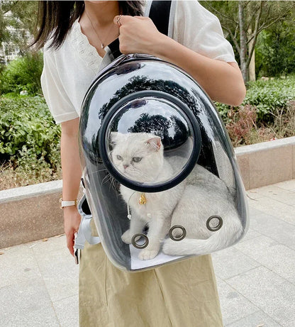 BubblePaw pet capsule backpack full product flat lay black
