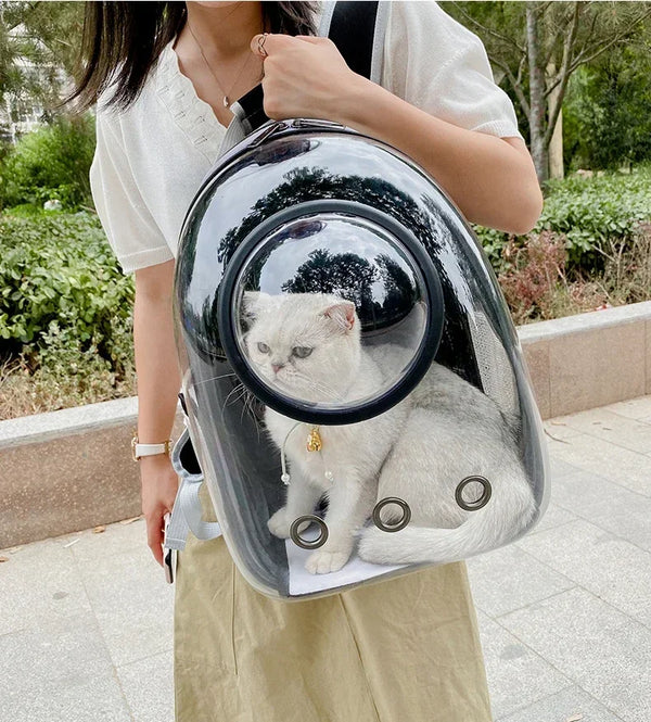 BubblePaw pet capsule backpack full product flat lay black