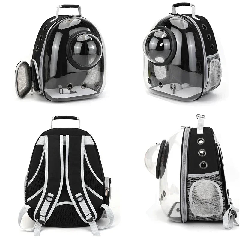 BubblePaw capsule backpack with cat inside transparent window