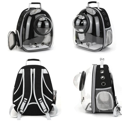 BubblePaw capsule backpack with cat inside transparent window