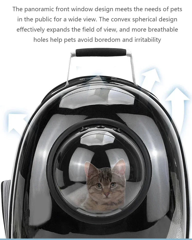 BubblePaw capsule carrier with cat looking out bubble window