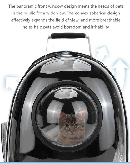 BubblePaw capsule carrier with cat looking out bubble window