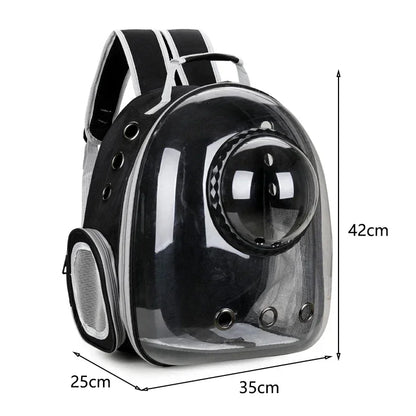 BubblePaw transparent capsule pet carrier backpack - Black Standard