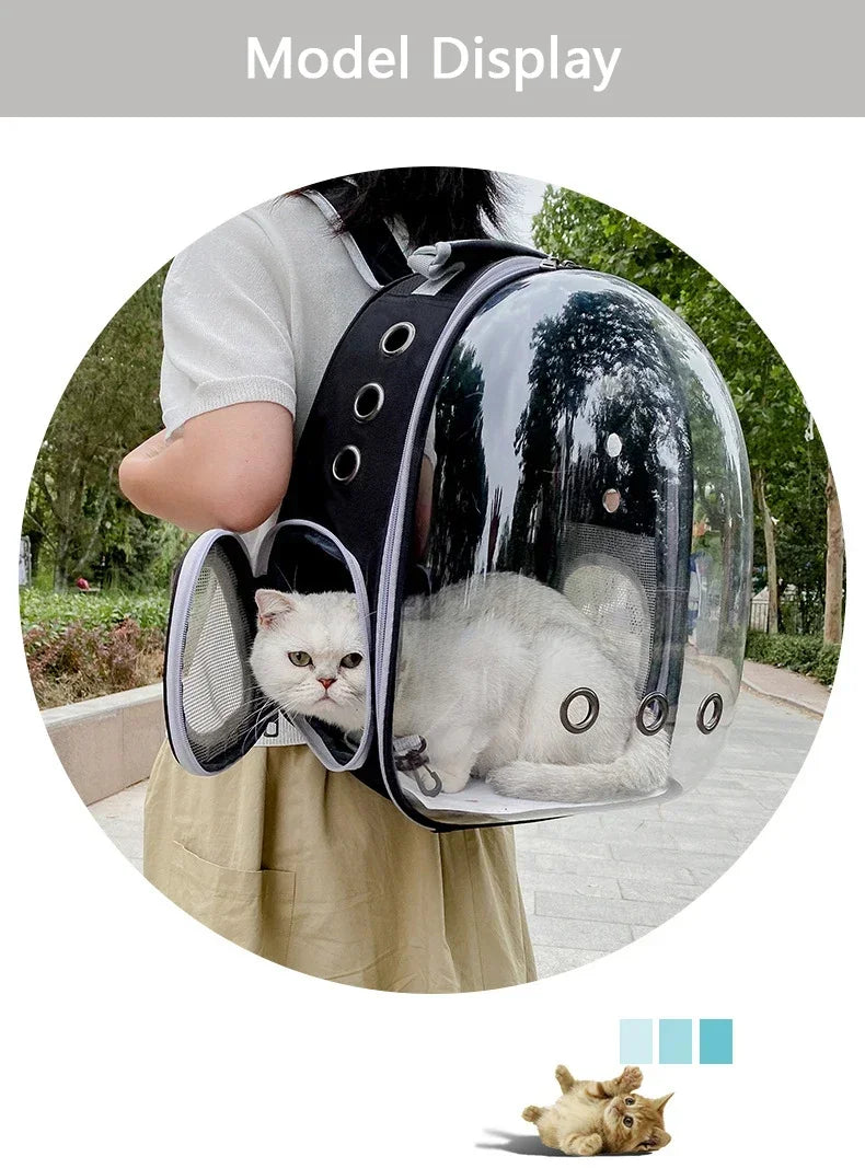 BubblePaw carrier backpack lifestyle shot outdoor adventure